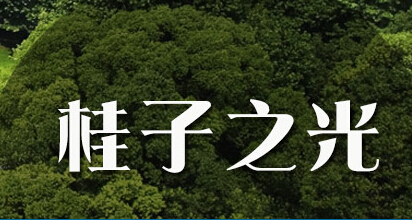 华中师大理论学习网