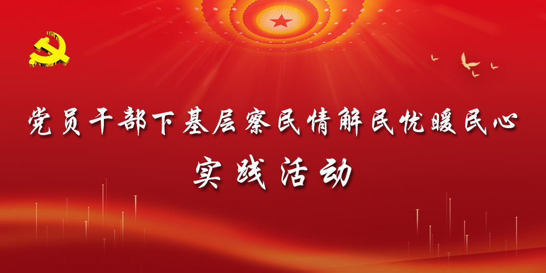 党员干部下基层察民情解民忧暖民心实践活动