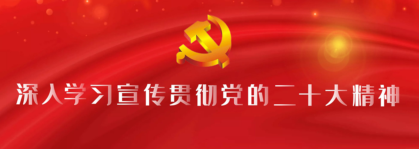 深入学习宣传贯彻党的二十大精神