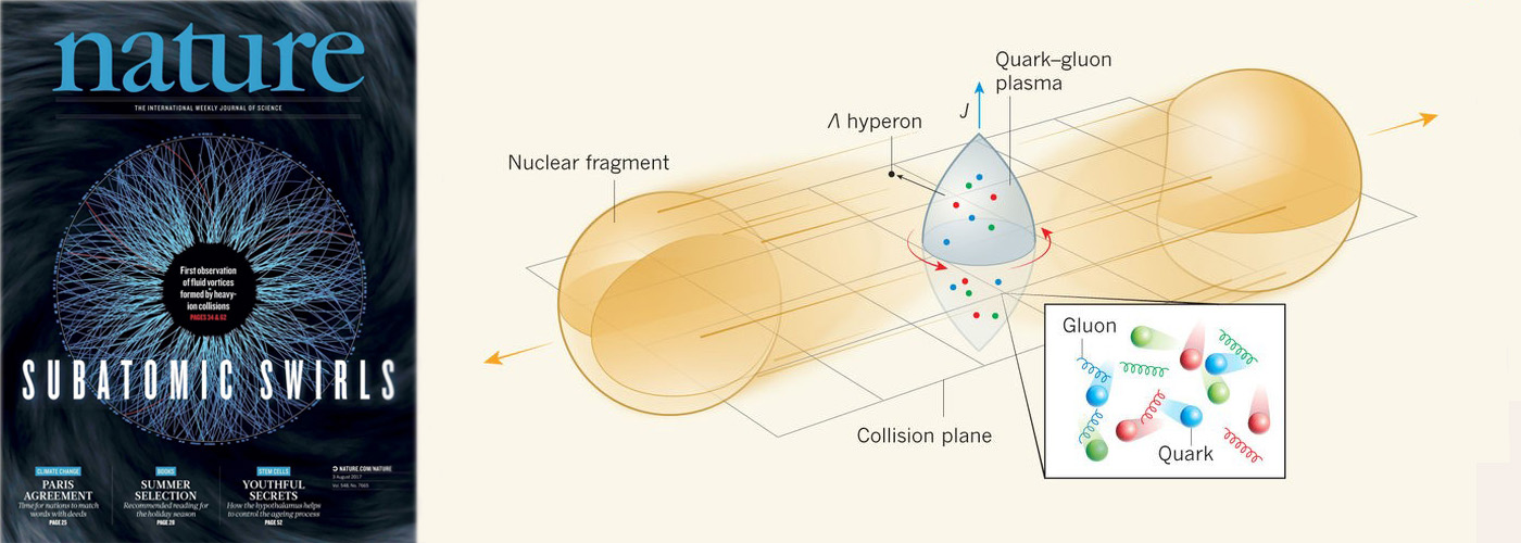 《自然》封面文章:最新实验证实王新年及合作者理论预言